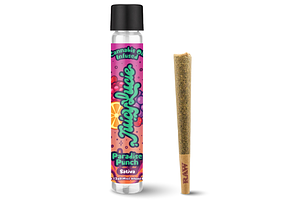 Paradise Punch Infused Pre-Roll | 1.2g by Juicy Lucie