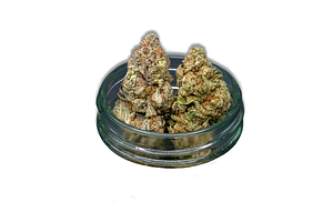 Tend.Harvest.Cultivate. | Space Fuel Bulk Flower by Tend.Harvest.Cultivate.