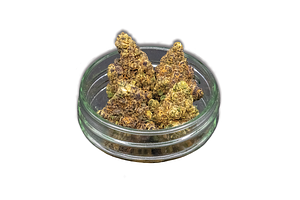 Common Citizen | Emergen-C Bulk Flower by Common Citizen