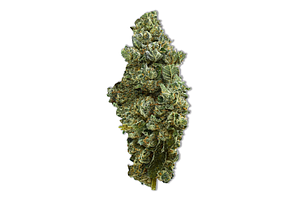 Common Citizen | Electric Peanut Butter Cookies Bulk Flower by Common Citizen