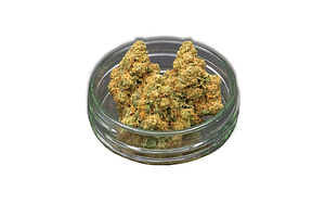 Common Citizen | Purple Punch Cake Bulk Flower by Common Citizen