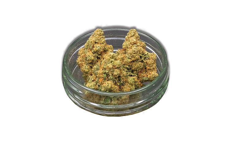 Common Citizen | Purple Punch Cake Bulk Flower by Common Citizen