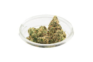 Society C | Spritzer Bulk by Society C