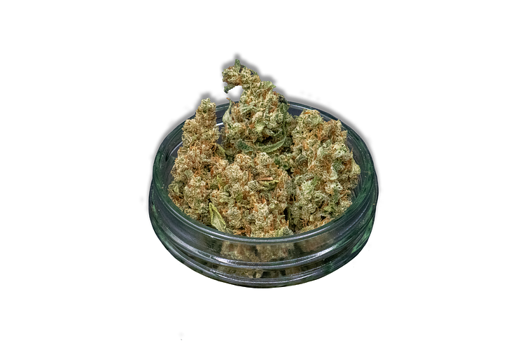 Snow Temple Bulk Flower by Common Citizen