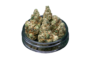 Common Citizen | Grease Bucket Bulk Flower by Common Citizen