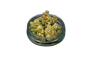 Common Citizen | Blood Orange Bulk Flower by Common Citizen