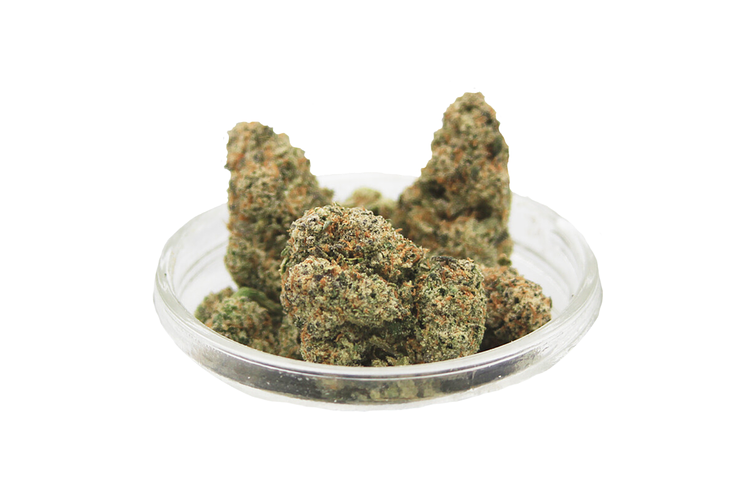 123 Grow | Lemon Cherry Gelato Bulk Flower by 123 Grow