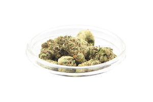 Redfox Cannabis | Zour Runtz Bulk Flower by Redfox Cannabis