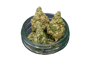 Common Citizen | Chem x Chocolate Bulk Flower by Common Citizen