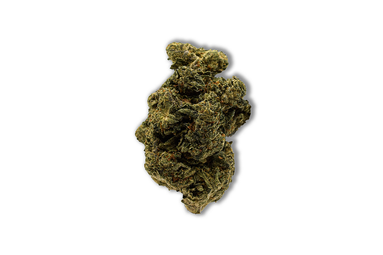 Common Citizen | Frosted Gelato Bulk Flower by Common Citizen
