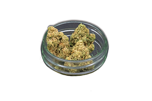 Common Citizen | The Undertaker Bulk Flower by Common Citizen