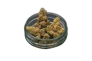 Common Citizen | London Pound Cake Bulk Flower by Common Citizen