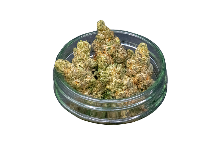 Common Citizen | Gelato Dream Bulk Flower by Common Citizen