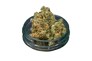 J1 Bulk Flower by Common Citizen