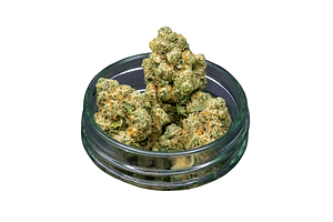 Common Citizen | Ice Cream Mints Bulk Flower by Common Citizen