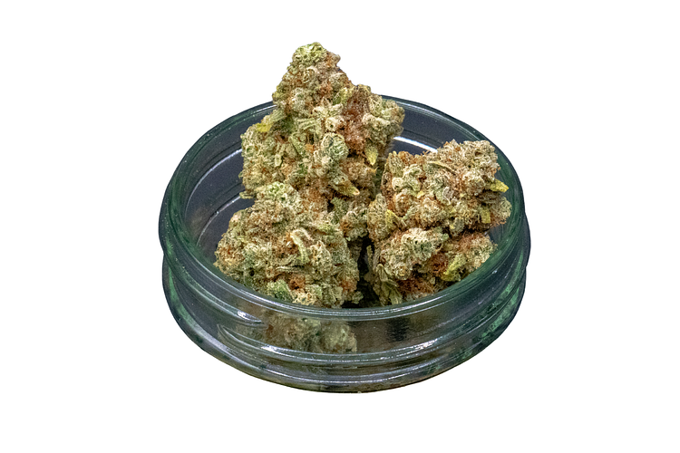Glucchee Bulk Flower by Common Citizen