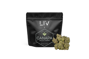 Canapa Valley Farms | Planet Sherb Prepackaged Flower | 3.5g by Canapa Valley Farms