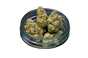Orange Wedding Cake Bulk Flower by Common Citizen
