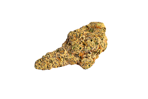 The Coast | Dreamsicle Bulk Flower by The Coast Cannabis