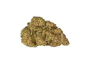 The Coast | Orange Slice Bulk Flower by The Coast Cannabis