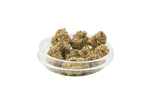 Propaganda Cannabis | Cadillac Rainbows Bulk Flower by Propaganda Cannabis
