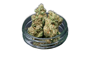 Common Citizen | Fuji OG Bulk Flower by Common Citizen