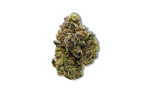 Common Citizen | Nerdz Bulk Flower by Common Citizen