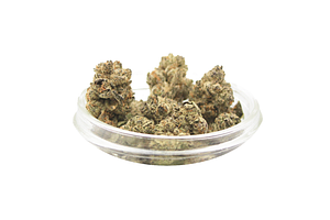 Propaganda Cannabis | Gelato 33 Bulk Flower by Propaganda Cannabis