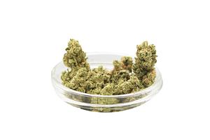 Propaganda Cannabis | Fatso Bulk Flower by Propaganda Cannabis