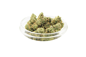 Propaganda Cannabis | Honey Buns Bulk Flower by Propaganda Cannabis