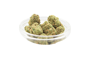 Propaganda Cannabis | Wonka Bars #13 Bulk Flower by Propaganda Cannabis