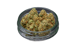 G13 Bulk Flower by Common Citizen