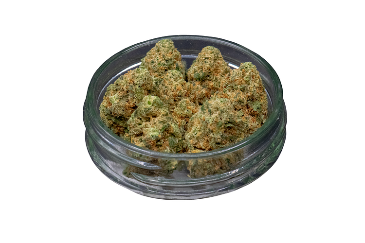 G13 Bulk Flower by Common Citizen