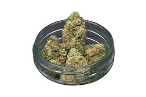 Puffo Gelato Bulk Flower by Common Citizen
