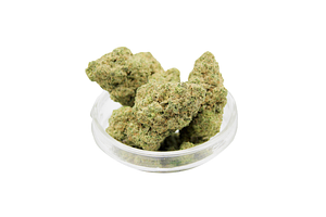 Morenci Brothers | Mitten Mints Bulk Flower by Morenci Brothers