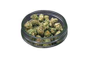 Puffo Gelato Bulk Popcorn by Common Citizen