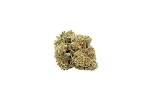 Butter | Sugar Shack #3 Grade A Bulk by BUTTER