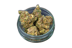 Common Citizen | Black Cherry Warheadz Bulk Flower by Common Citizen