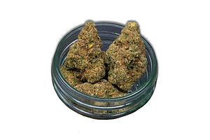 Common Citizen | Cake Mints Bulk Flower by Common Citizen