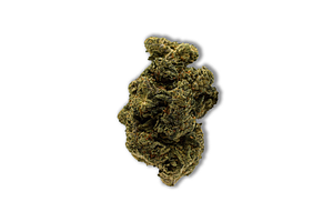 Common Citizen | Frosted Gelato Bulk Flower (Smalls) by COMMON CITIZEN