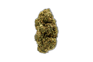 Common Citizen | Fried Ice Cream Bulk Flower by Common Citizen