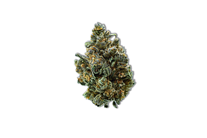 Common Citizen | Gelato Cookies Bulk Flower (Smalls) by COMMON CITIZEN