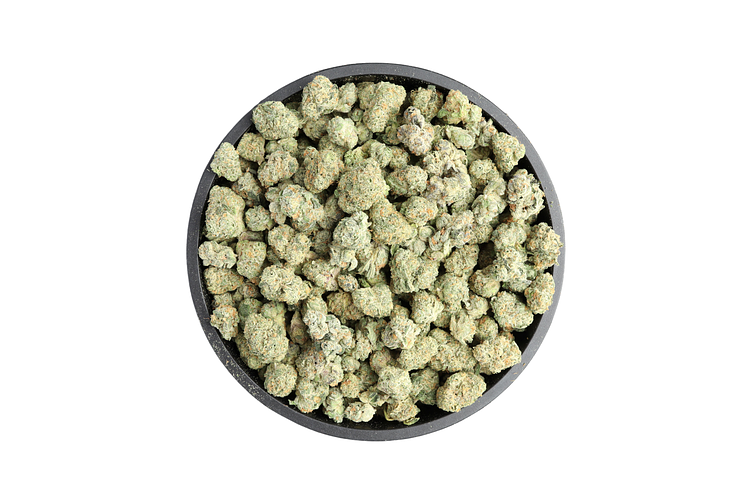Orange Wedding Cake Bulk Flower (Smalls) by Common Citizen