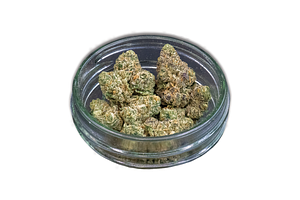 Common Citizen | Red Velvet Gelato Bulk Flower by Common Citizen
