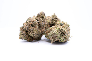 Common Citizen | Runtz Bulk by COMMON CITIZEN