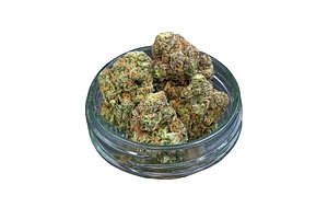 Common Citizen | The Don Mega Bulk Flower by Common Citizen