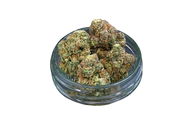 Common Citizen | The Don Mega Bulk Flower by Common Citizen