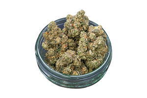 Common Citizen | Space Age Cake Bulk Flower by Common Citizen