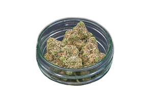 Giving Tree Gardens | Mile High Club Bulk Flower by Giving Tree Gardens