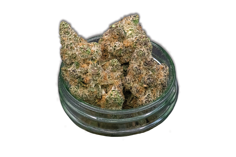 Giving Tree Gardens | Orange Tree Bulk Flower by Giving Tree Gardens
